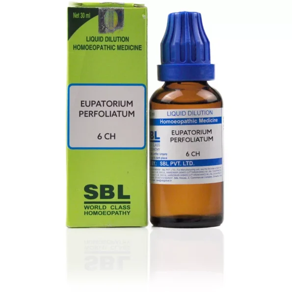 SBL Homeopathy Eupatorium Perfoliatum Dilution 6ch, Eupatorium Perfoliatum 6ch sbl, SBL Eupatorium Perfoliatum 6ch usa, SBL Eupatorium Perfoliatum 6ch ebay, SBL Eupatorium Perfoliatum 6ch movingaze