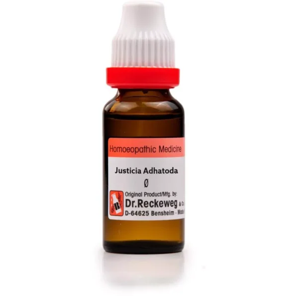 Dr Reckeweg Justicia Adhatoda Mother Tincture, Justicia Adhatoda reckeweg, Dr Reckeweg Justicia Adhatoda usa, Dr Reckeweg Justicia Adhatoda ebay, Dr Reckeweg Justicia Adhatoda movingaze