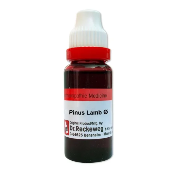Dr Reckeweg Pinus Lambertiana Mother Tincture, Pinus Lambertiana reckeweg, Dr Reckeweg Pinus Lambertiana usa, Dr Reckeweg Pinus Lambertiana ebay, Dr Reckeweg Pinus Lambertiana movingaze