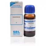 SBL Homeopathy Cinnamomum Mother Tincture Q 30ml