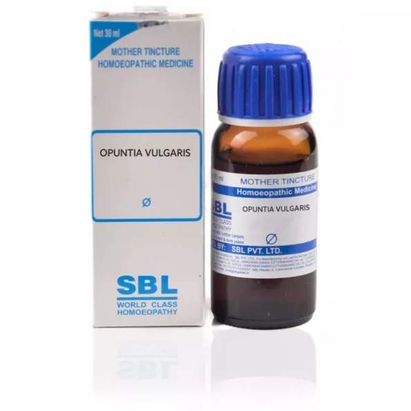 SBL Homeopathy Opuntia Vulgaris Mother Tincture, Opuntia Vulgaris q sbl, SBL Opuntia Vulgaris usa, SBL Opuntia Vulgaris ebay, SBL Opuntia Vulgaris movingaze