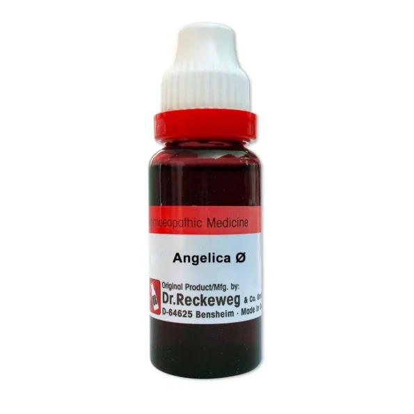 Dr Reckeweg Angelica Archangelica Mother Tincture, Angelica Archangelica reckeweg, Dr Reckeweg Angelica Archangelica usa, Dr Reckeweg Angelica Archangelica ebay, Dr Reckeweg Angelica Archangelica movingaze