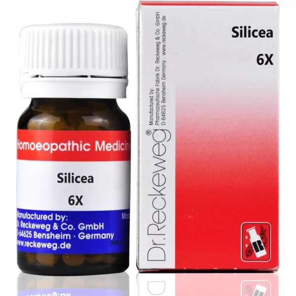 Dr Reckeweg Silicea 6X Biochemic Tabs 20gm