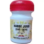 Dehlvi Ambar Habbe Jund 10 Pills