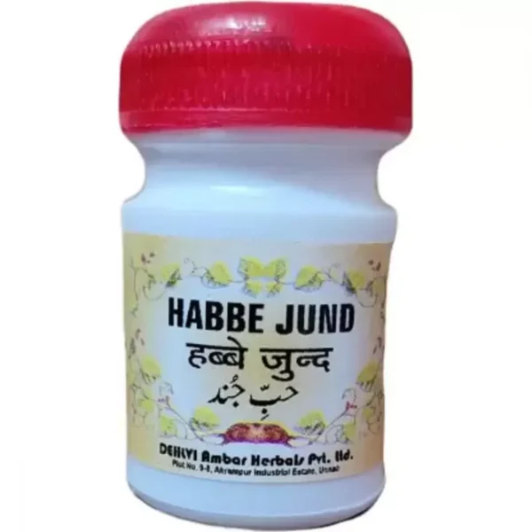 Dehlvi Ambar Habbe Jund 10 Pills