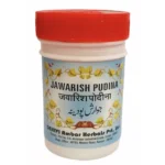 Dehlvi Ambar Jawarish Pudina 250gm