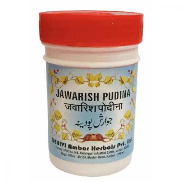 Dehlvi Ambar Jawarish Pudina, Dehlvi Ambar Jawarish Pudina usa, Dehlvi Ambar Jawarish Pudina amazon, Dehlvi Ambar Jawarish Pudina ebay, Dehlvi Ambar Jawarish Pudina movingaze