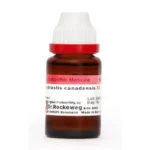 Dr Reckeweg Hydrastis Canadensis 7X Mother Tincture Q 20ml