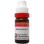 Dr Reckeweg Kali Iodatum Dilution 6 CH (11ml)