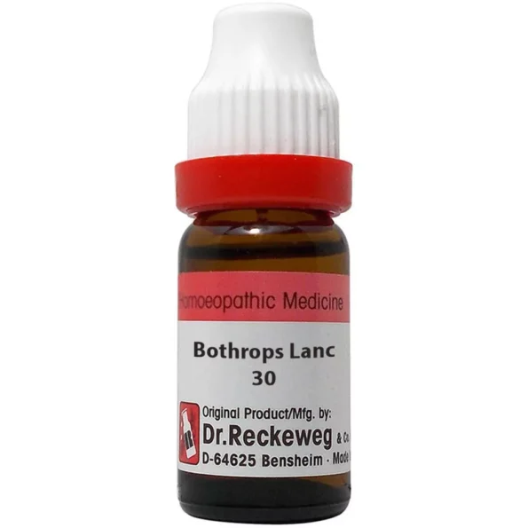 Bothrops Lanceolatus 30ch reckeweg, Dr Reckeweg Bothrops Lanceolatus Dilution 30ch, Dr Reckeweg Bothrops Lanceolatus 30ch usa, Dr Reckeweg Bothrops Lanceolatus 30ch ebay, Dr Reckeweg Bothrops Lanceolatus 30ch movingaze