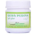 New Shama Qurs Pudina 100 Tablets