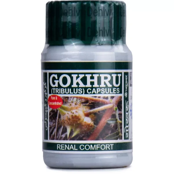 Dehlvi Gokhru 60 Capsule