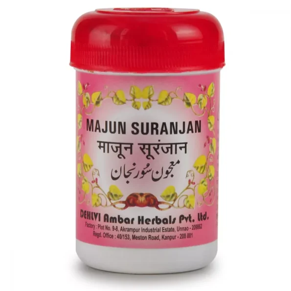 Dehlvi Majun Suranjan, Dehlvi Majun Suranjan usa, Dehlvi Majun Suranjan amazon, Dehlvi Majun Suranjan ebay, Dehlvi Majun Suranjan movingaze