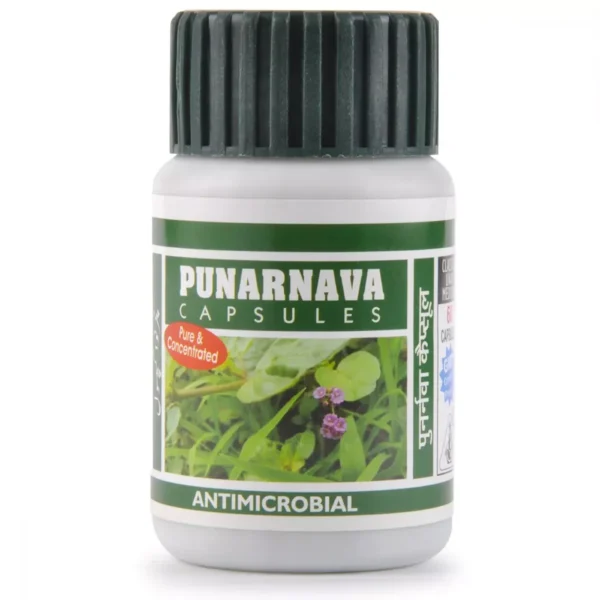 Dehlvi Punarnava 60 Capsule