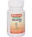 Baidyanath Brahmi Vati (Buddhi Vardhak), Brahmi Vati (Buddhi Vardhak) baidyanath, Baidyanath Brahmi Vati (Buddhi Vardhak) usa, Baidyanath Brahmi Vati (Buddhi Vardhak) ebay, Baidyanath Brahmi Vati (Buddhi Vardhak) movingaze