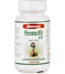 Baidyanath Chitrakadi Bati, Chitrakadi Bati baidyanath, Baidyanath Chitrakadi Bati usa, Baidyanath Chitrakadi Bati ebay, Baidyanath Chitrakadi Bati movingaze