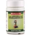 Baidyanath Amla Pittantak Yog Tablet, Amla Pittantak Yog Tablet baidyanath, Baidyanath Amla Pittantak Yog Tablet usa, Baidyanath Amla Pittantak Yog Tablet ebay, Baidyanath Amla Pittantak Yog Tablet movingaze