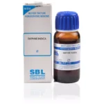 SBL Homeopathy Daphne Indica Mother Tincture Q 30ml