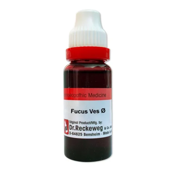 Dr Reckeweg Fucus Vesiculosus Mother Tincture, Fucus Vesiculosus reckeweg, Dr Reckeweg Fucus Vesiculosus usa, Dr Reckeweg Fucus Vesiculosus ebay, Dr Reckeweg Fucus Vesiculosus movingaze