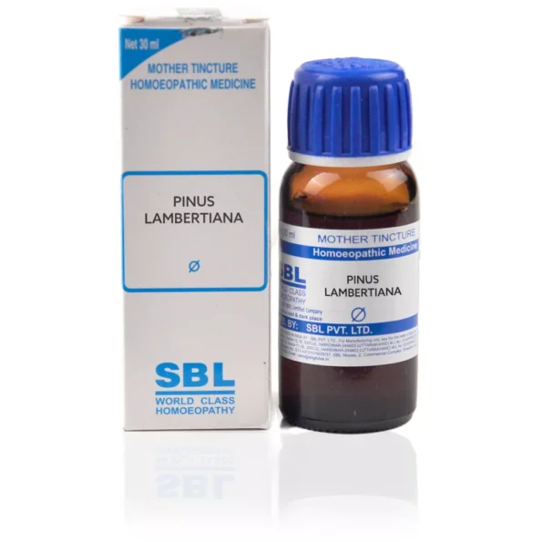 SBL Homeopathy Pinus Lambertiana Mother Tincture, Pinus Lambertiana q sbl, SBL Pinus Lambertiana usa, SBL Pinus Lambertiana ebay, SBL Pinus Lambertiana movingaze