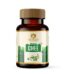 Maharishi Ayurveda Brahmi Ghee, Brahmi Ghee maharishi ayurveda, Maharishi Ayurveda Brahmi Ghee usa, Maharishi Ayurveda Brahmi Ghee ebay, Maharishi Ayurveda Brahmi Ghee movingaze